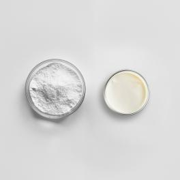 Ferments lactiques thermophiles.jpg